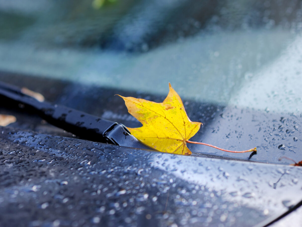 Tipps für Autofahrer: Was tun bei Feuchtigkeit im Fahrzeug?